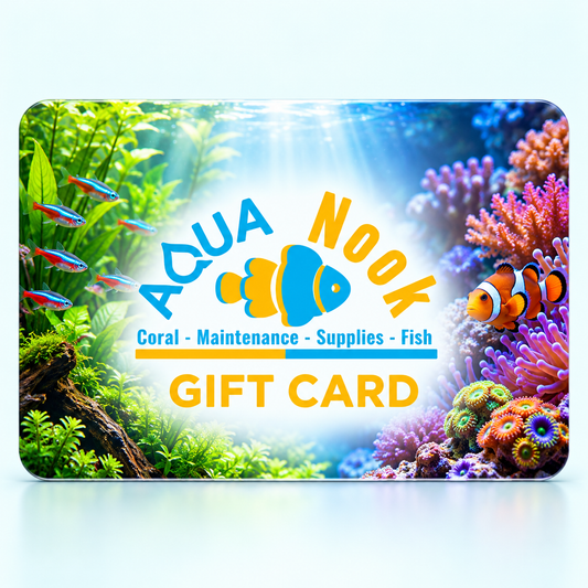 Aqua Nook Gift Card